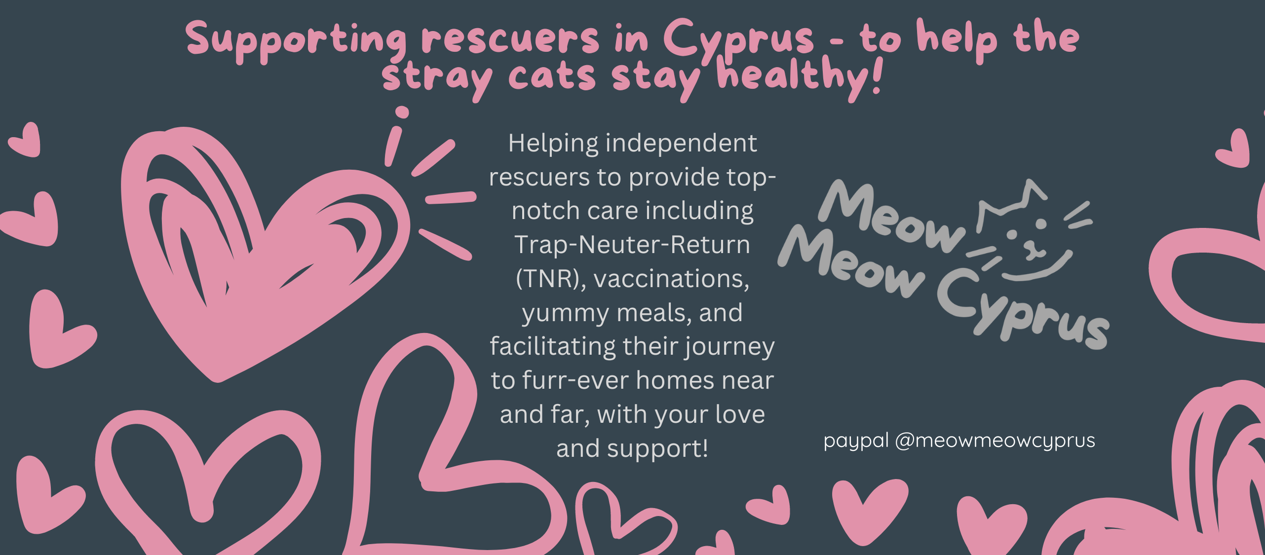 Image containing the mission statement of Meow Meow Cyprus, as well as the logo.